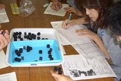 勉強会